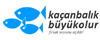 www.kacanbalıkbuyukolur.com
